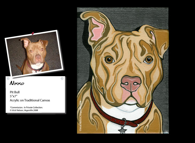 Nikko the Pit Bull dog portrait