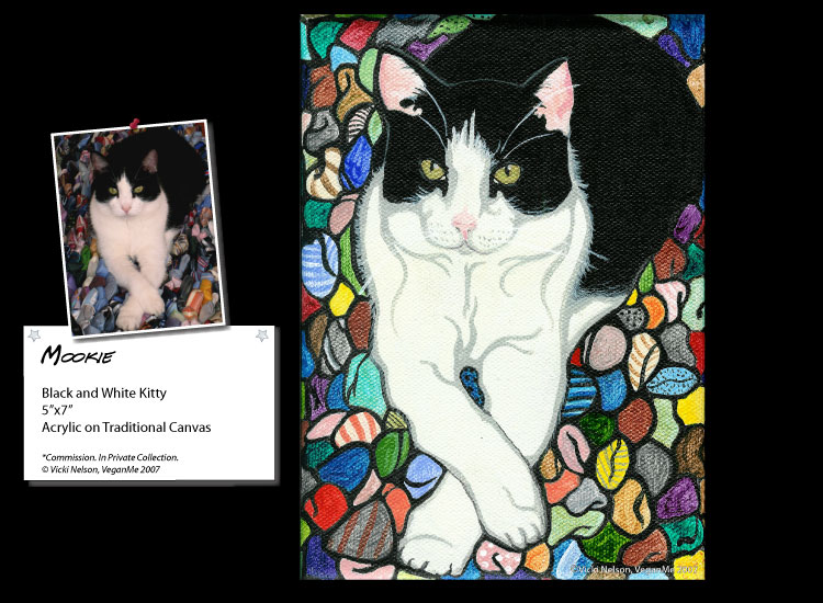 Mookie the kitty portrait